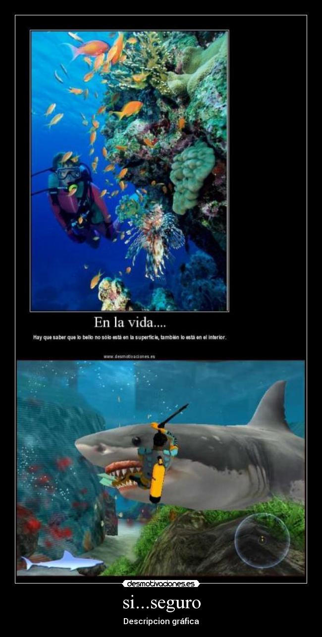 si...seguro -