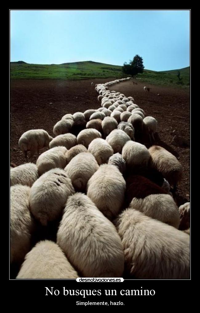 No busques un camino - Simplemente, hazlo.