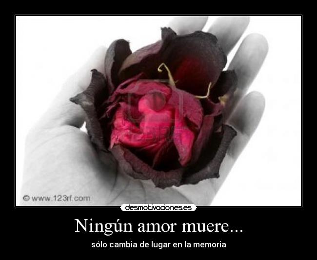 Ningún amor muere... -