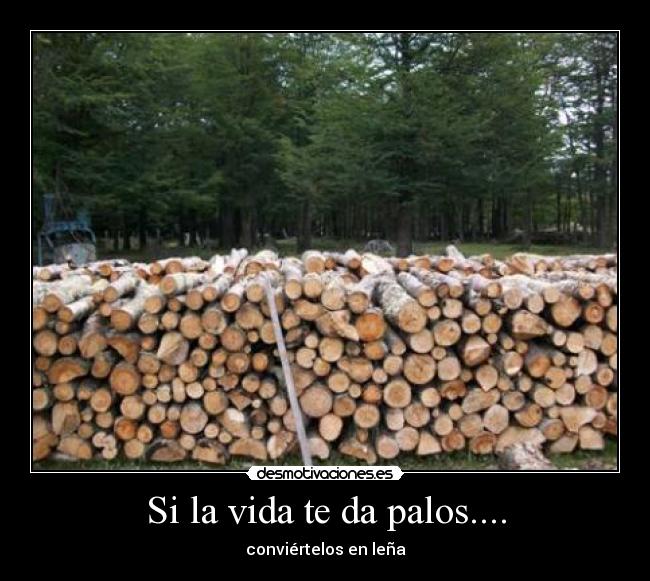 Si la vida te da palos.... -