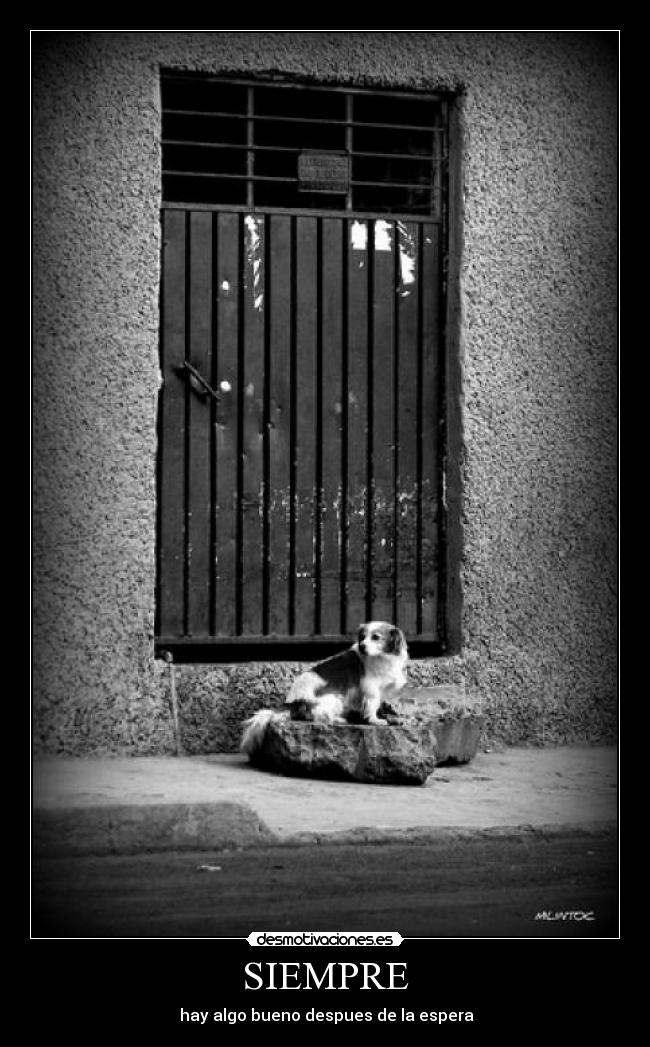 SIEMPRE - hay algo bueno despues de la espera