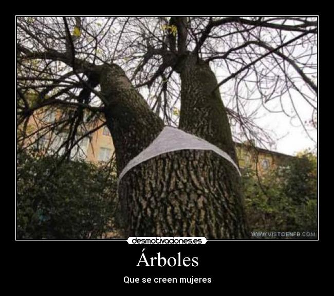 Árboles -