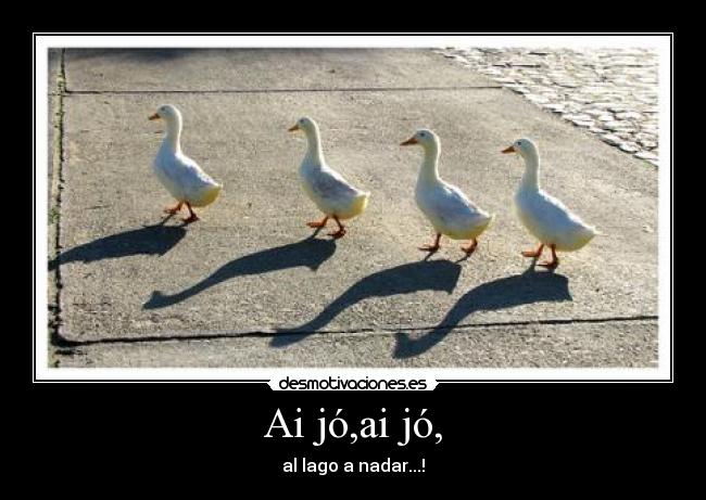 Ai jó,ai jó, - al lago a nadar...!