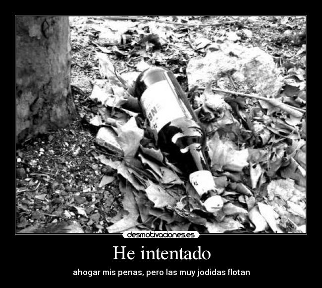 He intentado - ahogar mis penas, pero las muy jodidas flotan