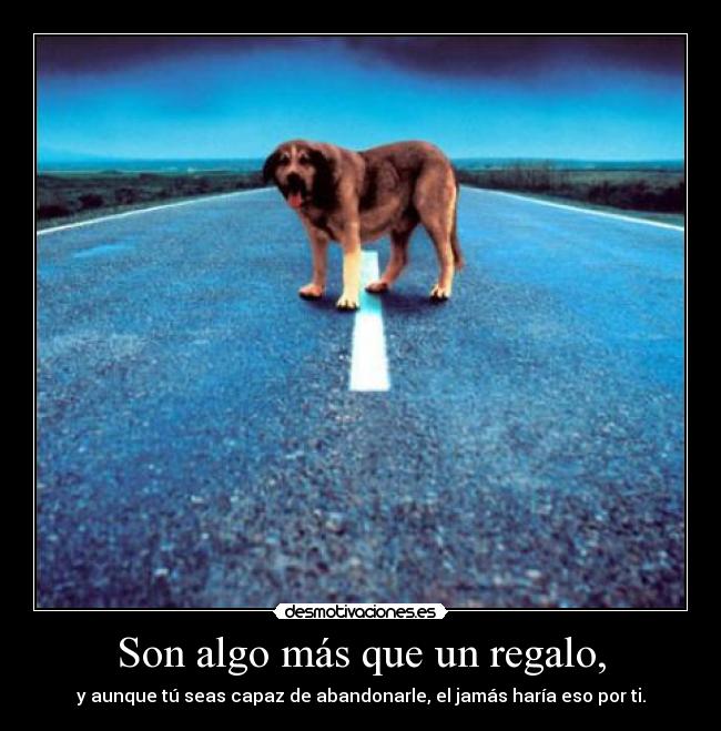 Son algo más que un regalo, -