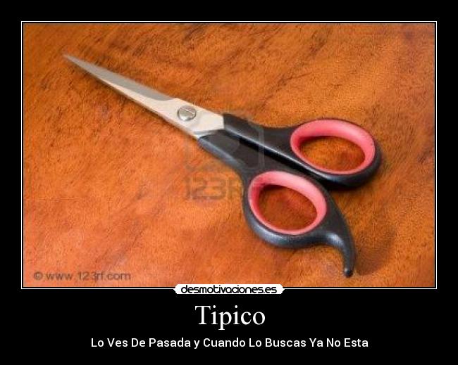 Tipico - 