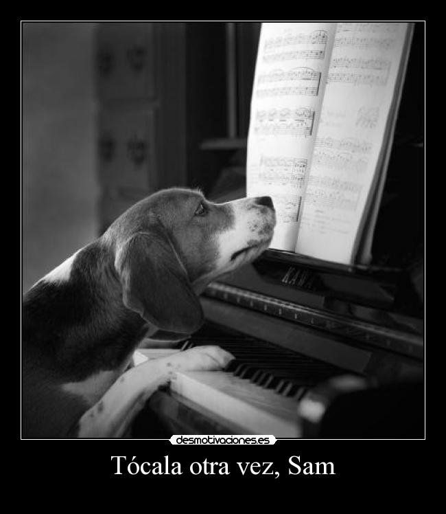 Tócala otra vez, Sam - 