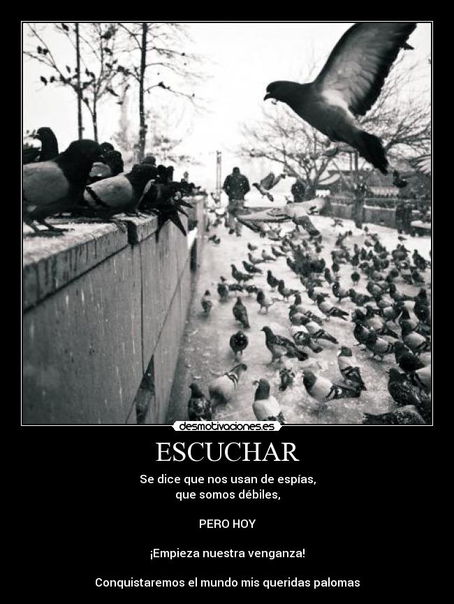 ESCUCHAR - Se dice que nos usan de espías,
que somos débiles,
PERO HOY
¡Empieza nuestra venganza!
Conquistaremos el mundo mis queridas palomas