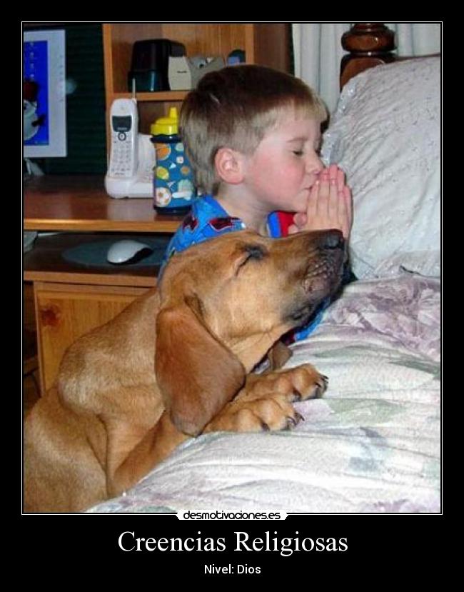 Creencias Religiosas - Nivel: Dios