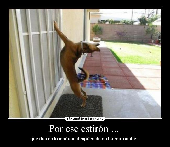 Por ese estirón ... - que das en la mañana despúes de na buena noche ...
