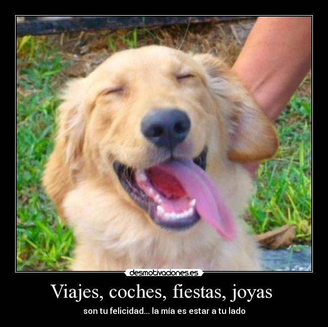 Viajes, coches, fiestas, joyas -