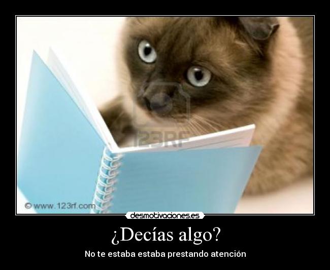 carteles gatos desmotivaciones