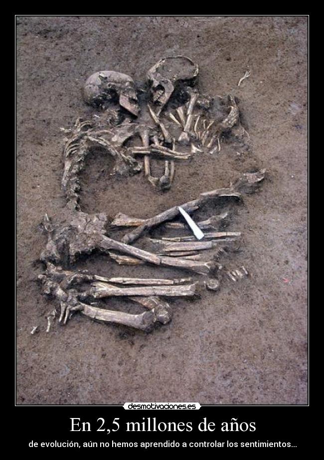 En 2,5 millones de años - de evolución, aún no hemos aprendido a controlar los sentimientos...