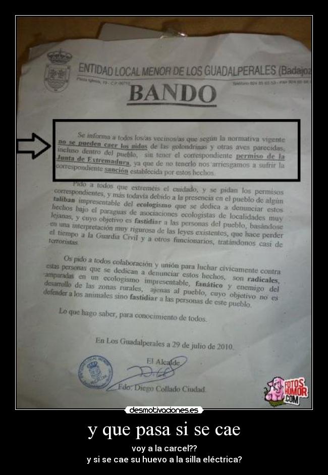 y que pasa si se cae - voy a la carcel??
y si se cae su huevo a la silla eléctrica?