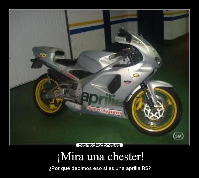 ¡Mira una chester! -