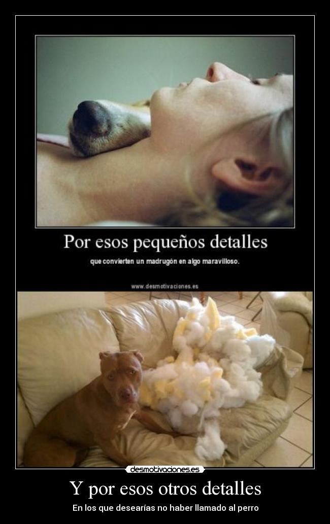 Y por esos otros detalles -