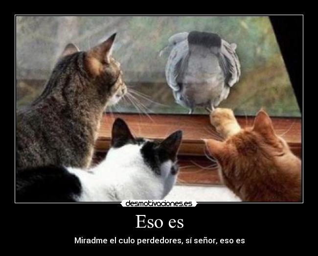 Eso es - Miradme el culo perdedores, sí señor, eso es