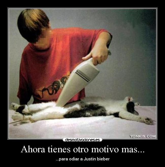 Ahora tienes otro motivo mas... -
