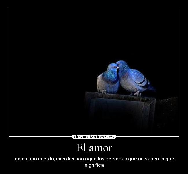 El amor - 