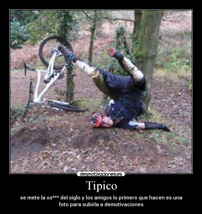 Tipico -