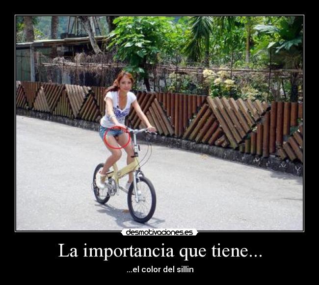 La importancia que tiene... -