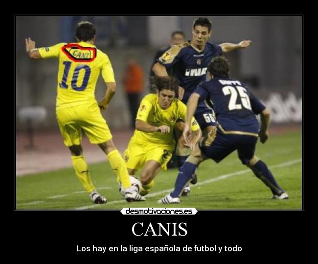 CANIS - Los hay en la liga española de futbol y todo