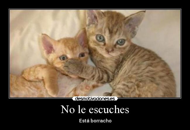 No le escuches - Está borracho