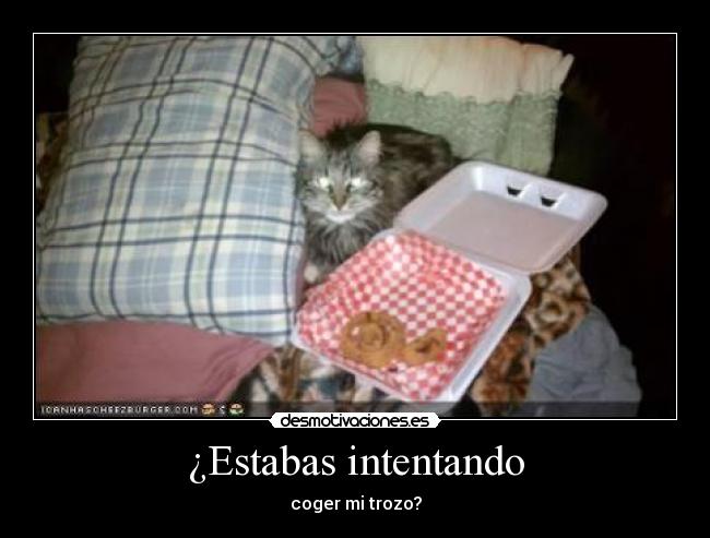 ¿Estabas intentando - 