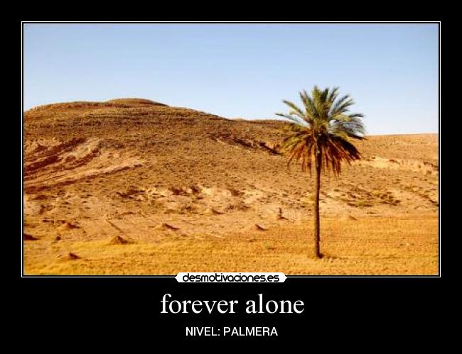 forever alone - NIVEL: PALMERA