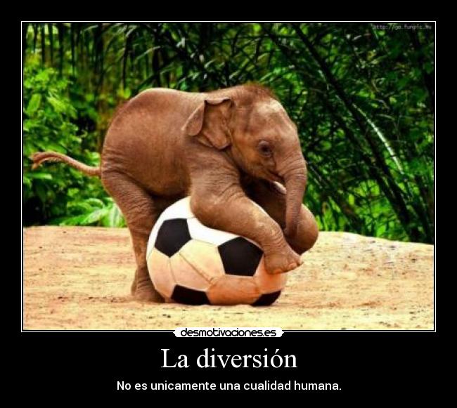 La diversión -