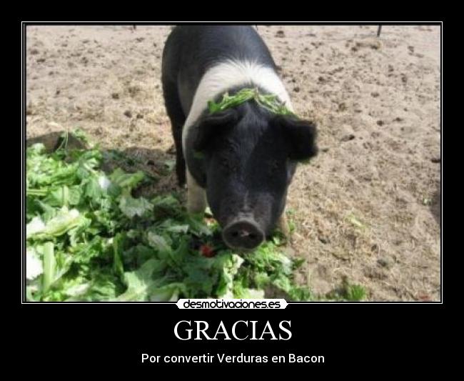 GRACIAS - Por convertir Verduras en Bacon