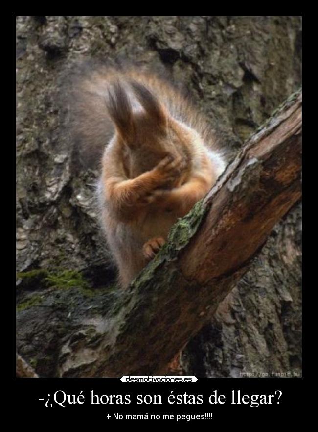 -¿Qué horas son éstas de llegar? - + No mamá no me pegues!!!!