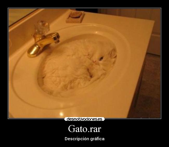 Gato.rar - Descripción gráfica
