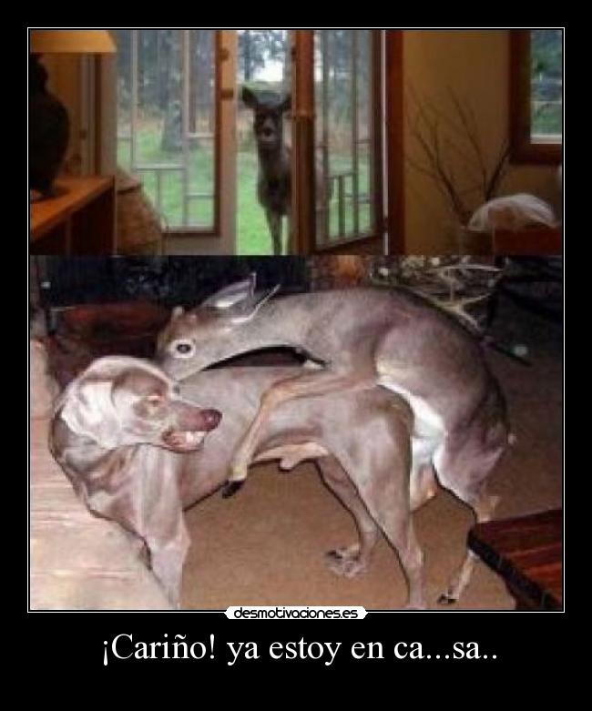 ¡Cariño! ya estoy en ca...sa.. - 