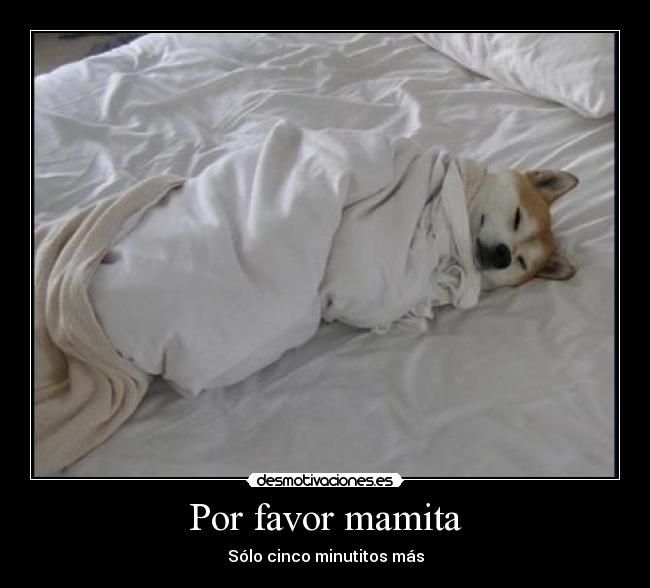 Por favor mamita - 