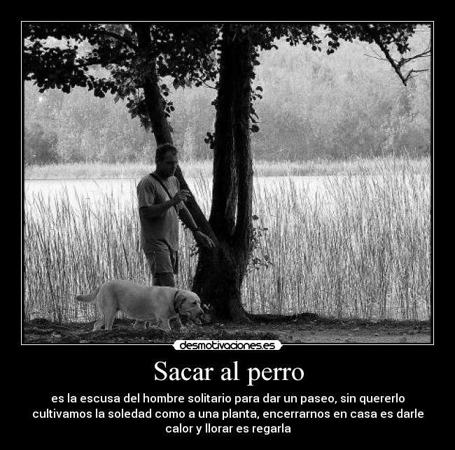 Sacar al perro -