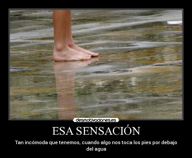 ESA SENSACIÓN - Tan incómoda que tenemos, cuando algo nos toca los pies por debajo del agua