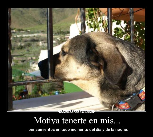 Motiva tenerte en mis... - ...pensamientos en todo momento del día y de la noche.