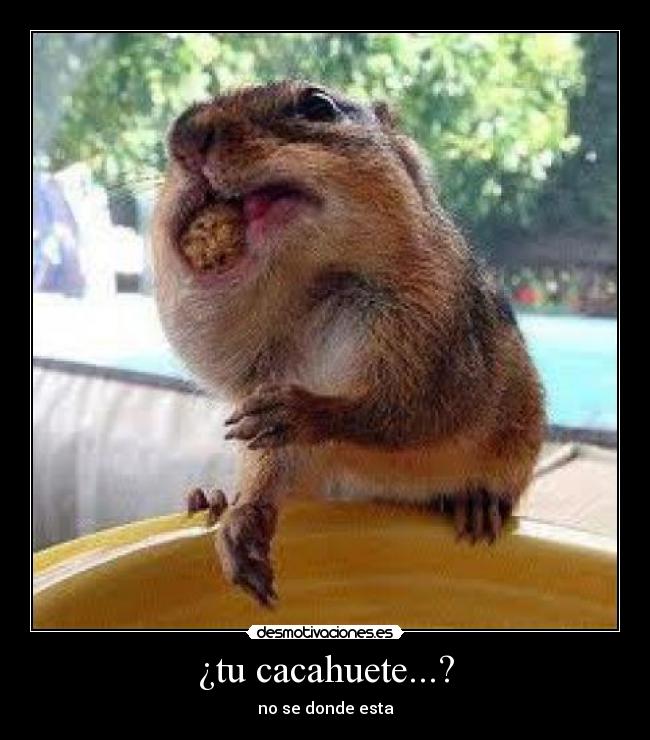 ¿tu cacahuete...? -