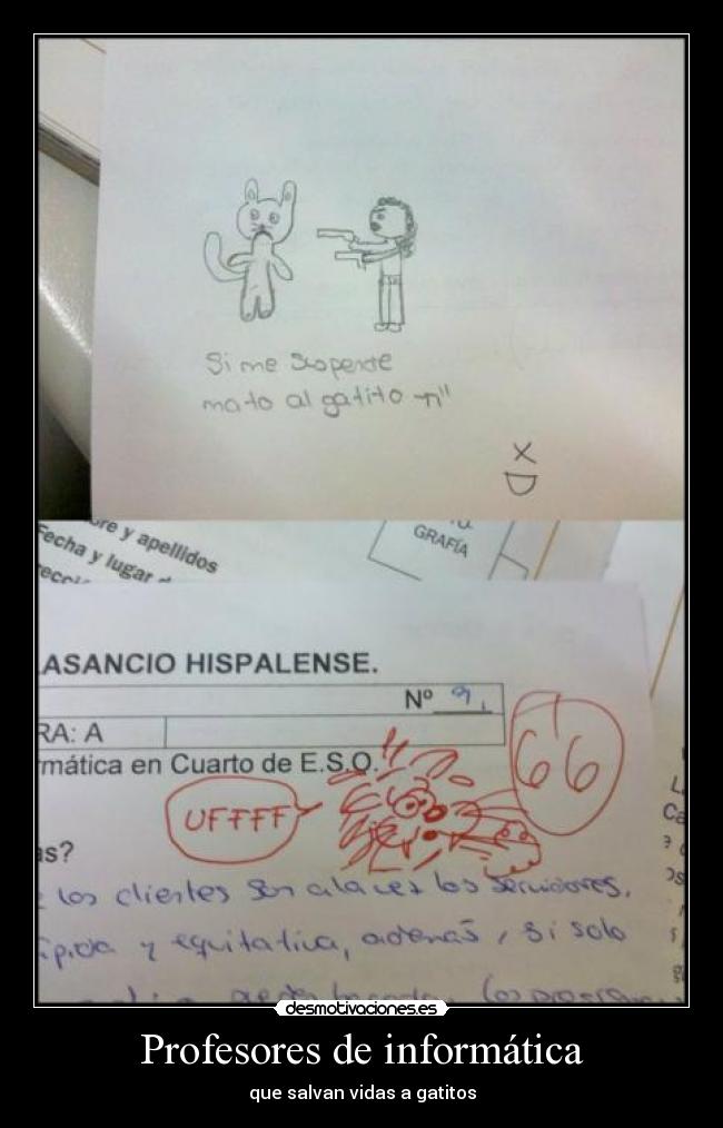 Profesores de informática - que salvan vidas a gatitos