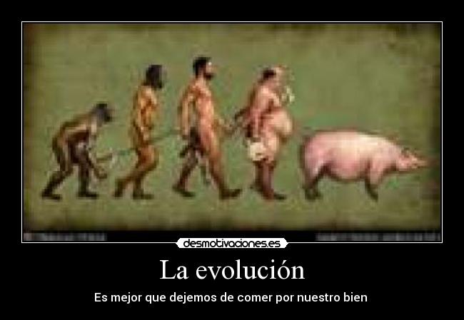 La evolución -