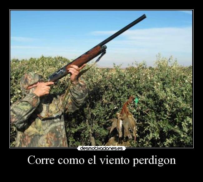 Corre como el viento perdigon - 