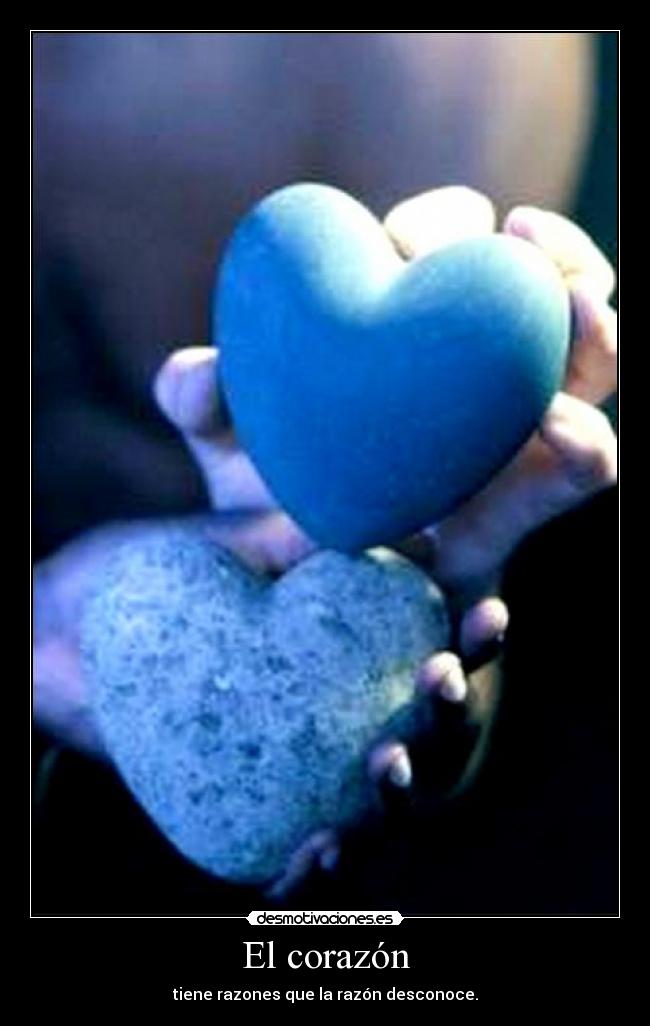 El corazón -