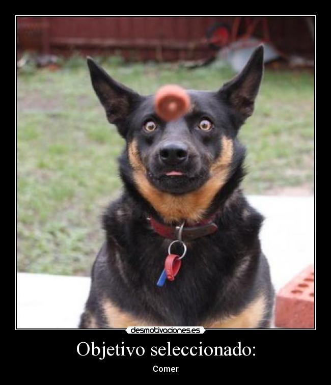 Objetivo seleccionado: -