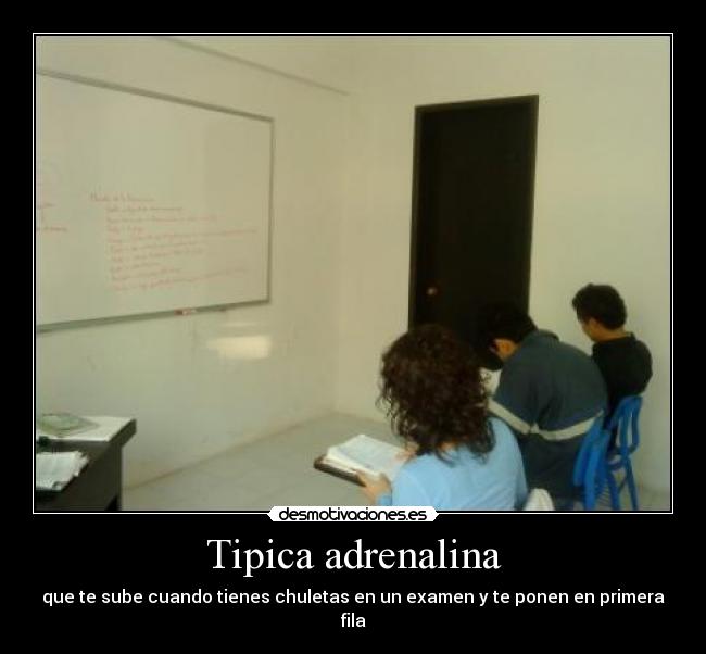 Tipica adrenalina -