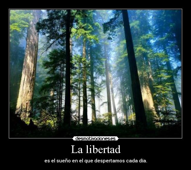La libertad - es el sueño en el que despertamos cada día.