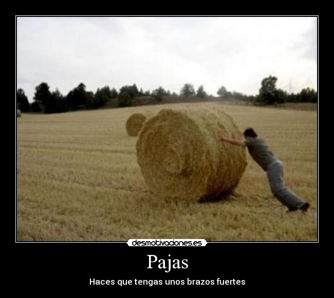 Pajas -