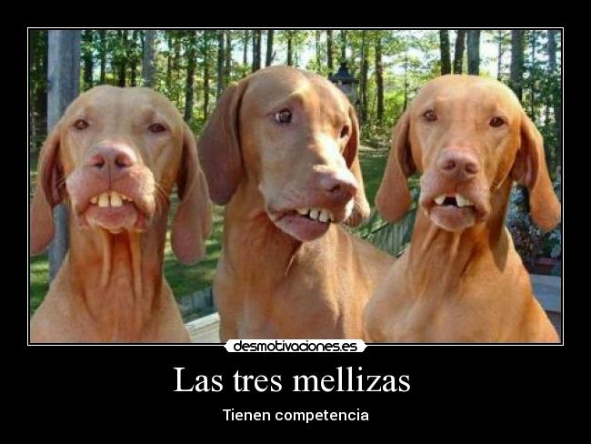 carteles filguiman desmotivaciones