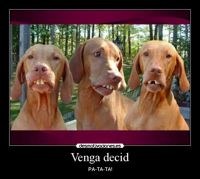 Venga decid - PA-TA-TA!