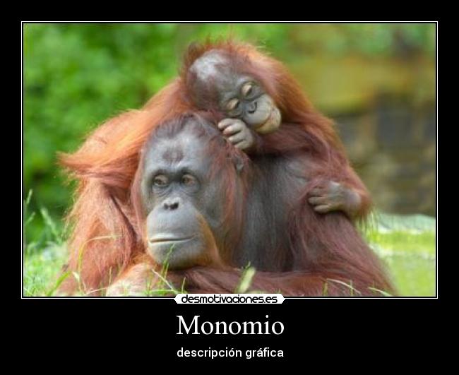 Monomio -